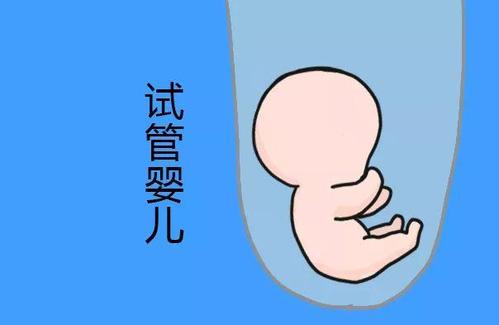 关于有偿同志供卵咨询怎么找